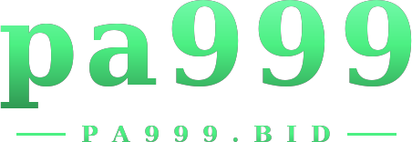 pa999 logo